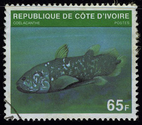Lot 2049 - cote d'ivoire  -  Francois Feldman F.C.N.P François FELDMAN sale #122