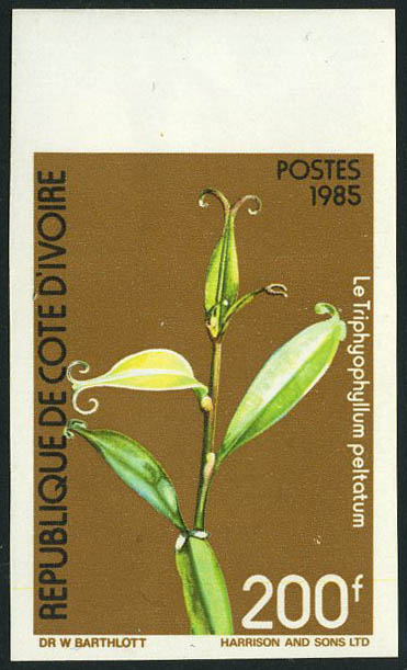 Lot 2056 - cote d'ivoire - Francois Feldman F.C.N.P François FELDMAN sale #122 Lot 2056 - cote d'ivoire - Francois Feldman F.C.N.P François FELDMAN sale #122