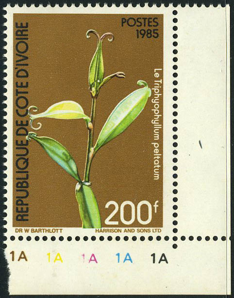 Lot 2057 - cote d'ivoire - Francois Feldman F.C.N.P François FELDMAN sale #122 Lot 2057 - cote d'ivoire - Francois Feldman F.C.N.P François FELDMAN sale #122