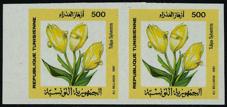 Lot 2749 - tunisie - Francois Feldman F.C.N.P François FELDMAN sale #122 Lot 2749 - tunisie - Francois Feldman F.C.N.P François FELDMAN sale #122