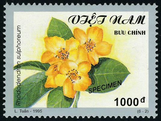 Lot 2757 - vietnam - Francois Feldman F.C.N.P François FELDMAN sale #122 Lot 2757 - vietnam - Francois Feldman F.C.N.P François FELDMAN sale #122