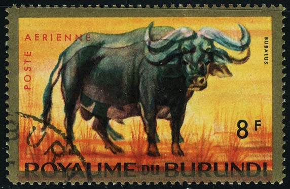 Lot 3242 - bolivie poste aerienne -  Francois Feldman F.C.N.P François FELDMAN sale #122